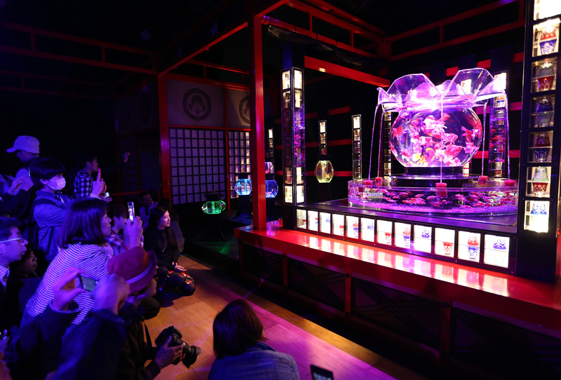 日本京都二条城举办梦幻水族展