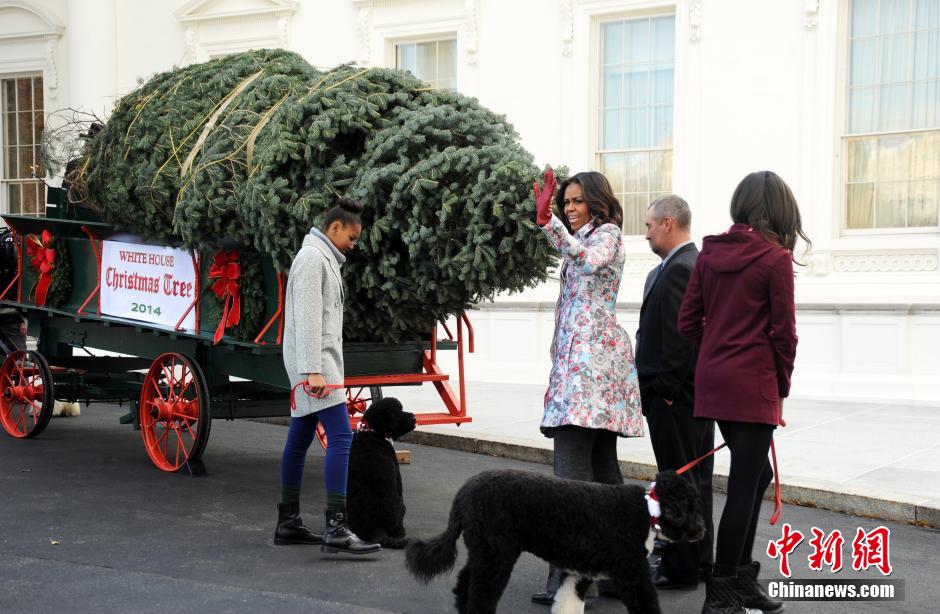 白宫迎来“首席圣诞树” 美国第一家庭亲自迎接