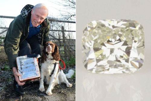 英国老汉遛狗途中意外捡到贵重钻石(图)