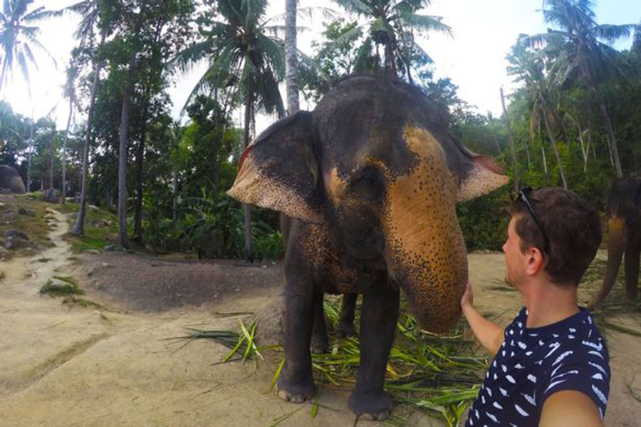 泰国大象用鼻子操作相机和游客玩自拍