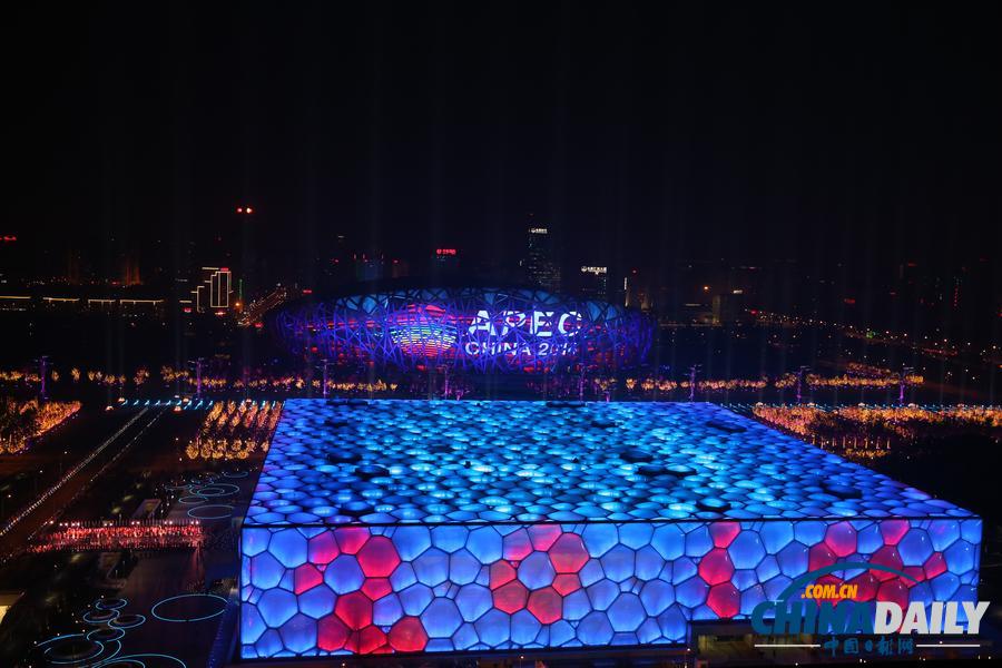 习近平夫妇同APEC各经济体领导人夫妇合影（图）