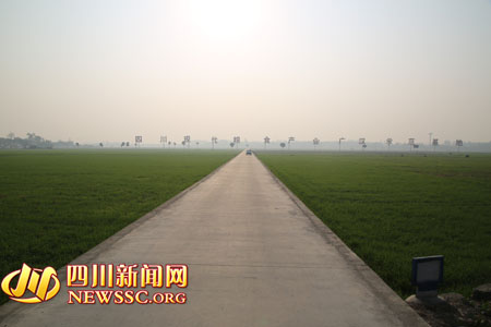广汉10万亩现代粮食产业示范基地迎来采风团