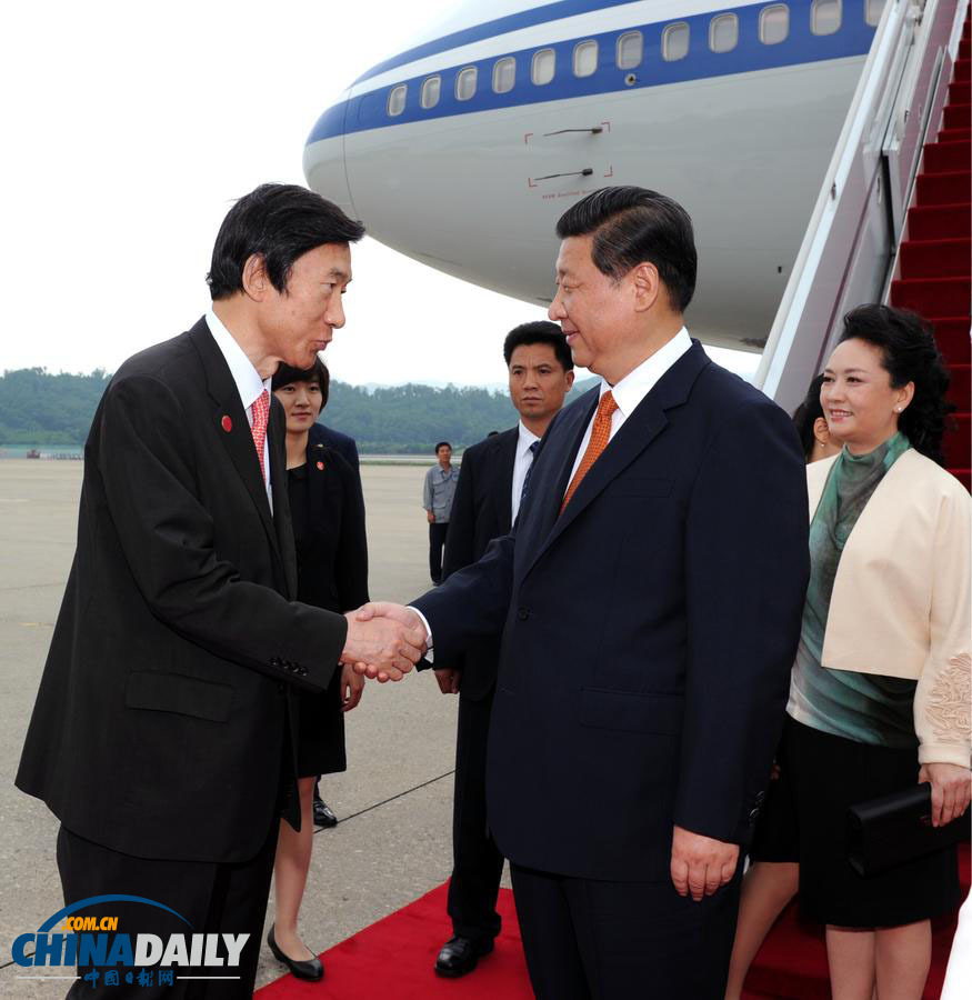 习近平抵达首尔开始对韩国进行国事访问（图）
