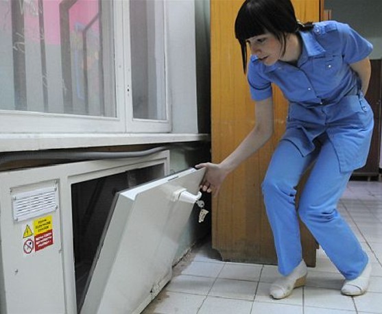 俄部分城市推广“弃婴箱”项目 安全卫生可防野狗等袭击