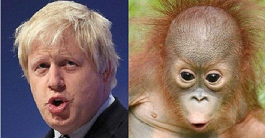 英报拿伦敦市长开涮：他多像只红毛猩猩！