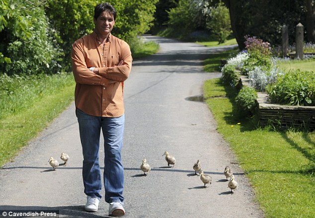 英国50岁男子变身“鸭妈妈” 与8只小鸭形影不离
