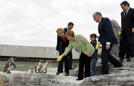 德国总理默克尔开会“忙里偷闲”喂企鹅