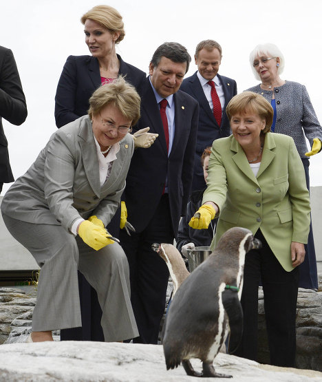 德国总理默克尔开会“忙里偷闲”喂企鹅