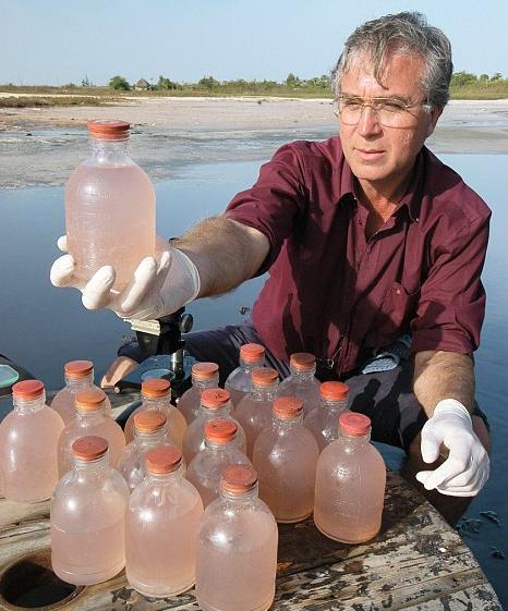 塞内加尔玫瑰湖：嗜盐微生物创造的粉红风情