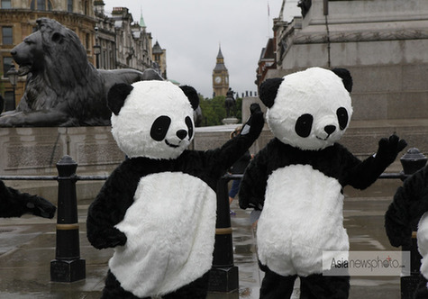 108名“熊猫人”伦敦打太极 呼吁人们保护野生动物