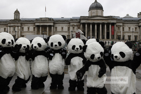 108名“熊猫人”伦敦打太极 呼吁人们保护野生动物