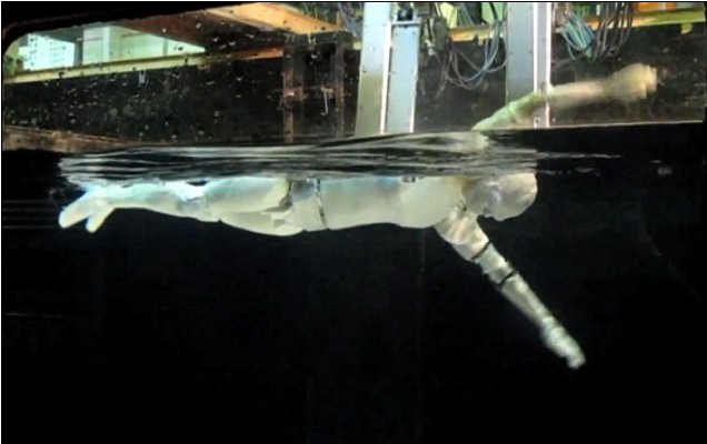 日本科学家发明会游泳机器人 速度可达每秒6米有望代替救生员