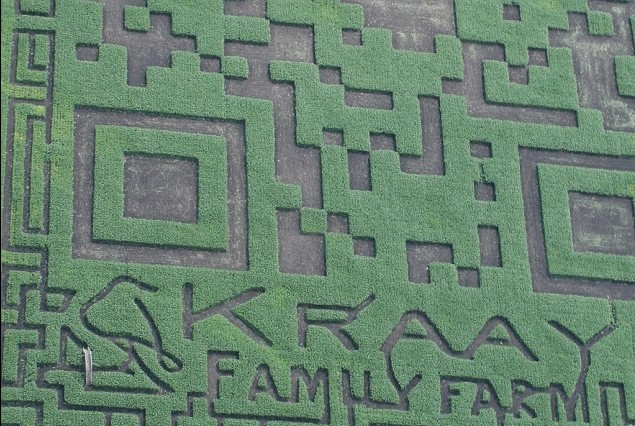 加拿大农场“种出”世界最大二维码 扫描即可跳转到农场网站