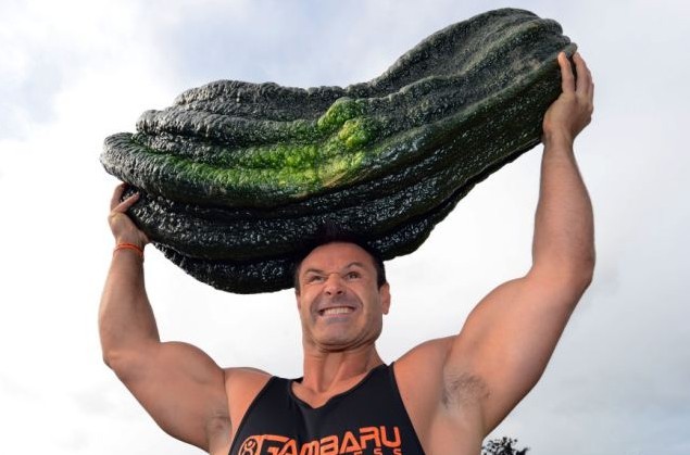 英退休老人热衷种植巨型蔬菜 创造多项世界纪录