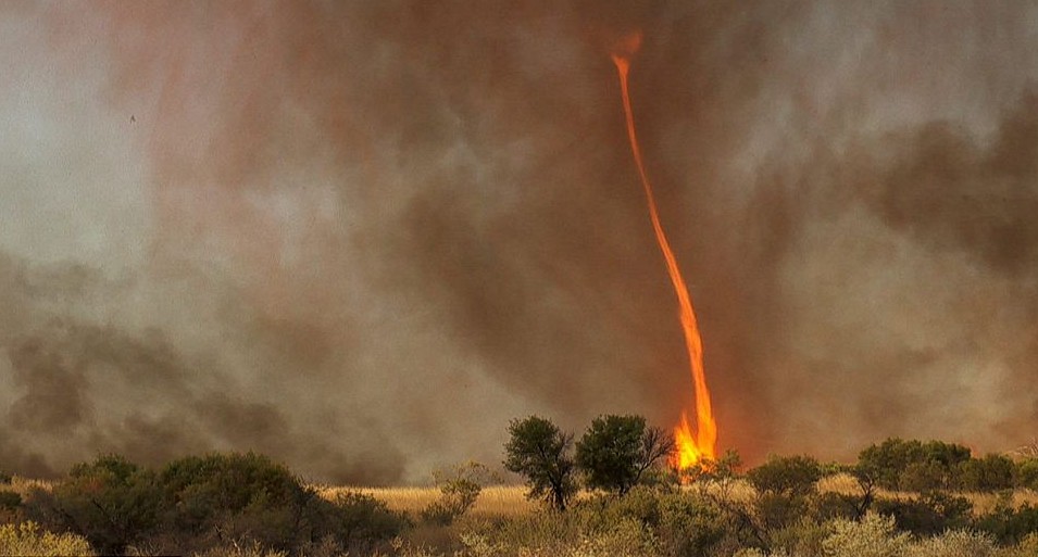 澳大利亚惊现30米高“火焰龙卷风” 持续时间达40分钟