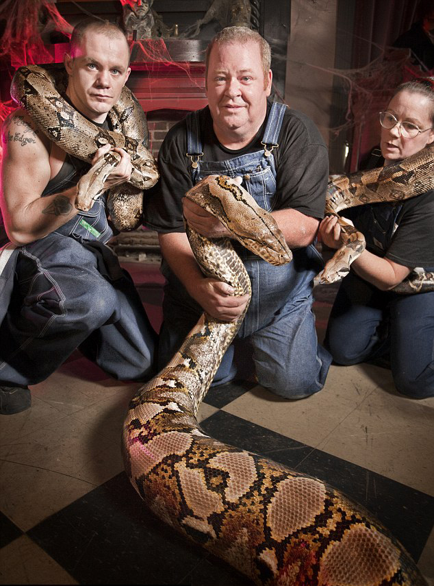 全球最长圈养蟒蛇体长7.6米 可吞下45公斤食物
