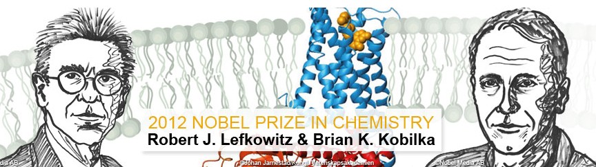 两美国科学家分享诺贝尔化学奖 揭秘细胞表面“聪明”受体