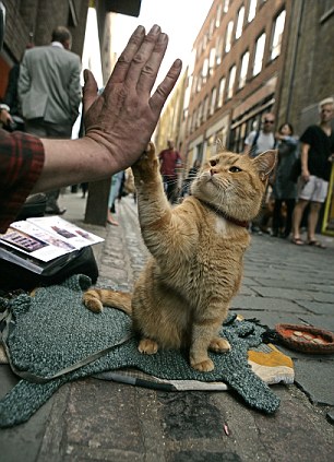 英国男子与流浪猫卖艺故事将被搬上好莱坞荧幕