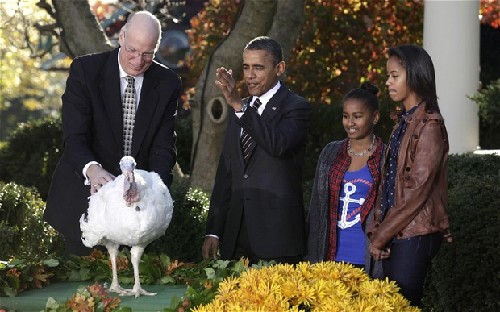 奥巴马赦免感恩节民选火鸡 慨叹人生充满二次机遇