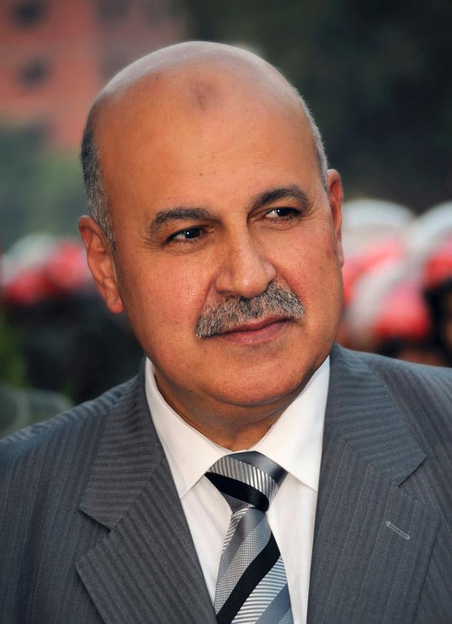 埃及宪法草案有望获通过 副总统辞职疑遭排挤