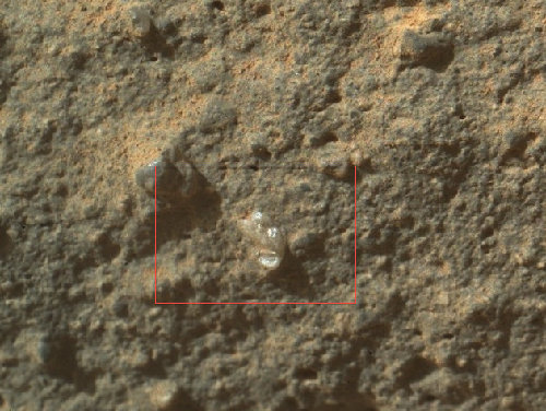 “好奇号”火星表面发现闪光物体 形态似“花” 