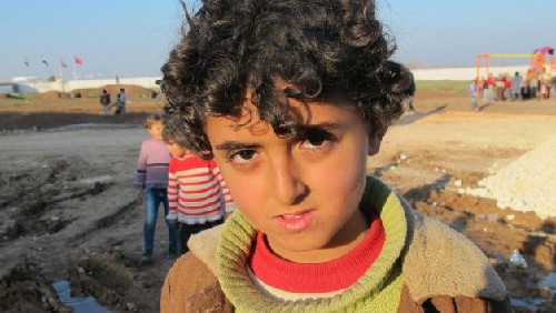 叙利亚难民儿童靠野菜为生 处境艰难