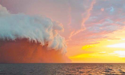 罕见红色沙尘暴袭击澳大利亚海岸 来势汹汹