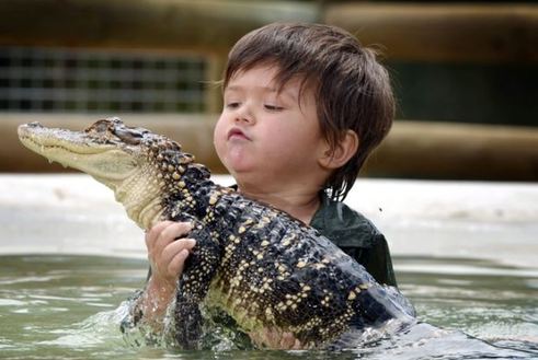澳大利亚3岁男童同鳄鱼亲密嬉水 与蟒蛇为友 