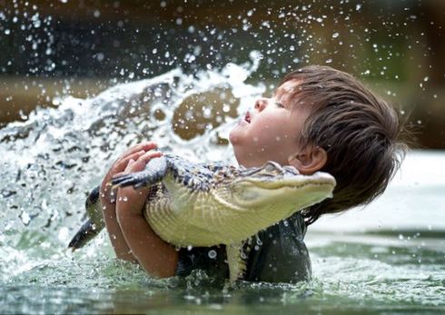 澳大利亚3岁男童同鳄鱼亲密嬉水 与蟒蛇为友 