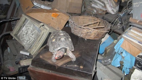 巴西一宠物龟被误锁入储藏室30年仍存活(图)
