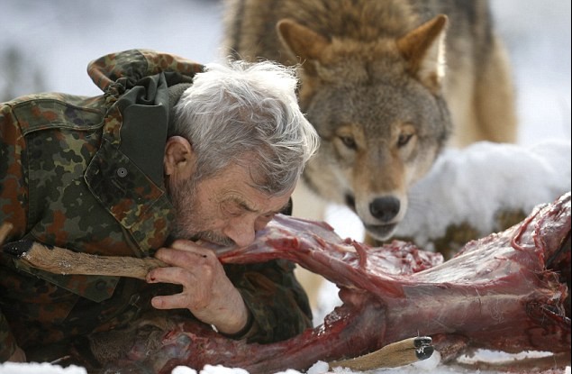 德国79岁男子“与狼共食” 化身头狼统领29只猛兽