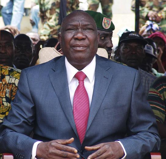 中非共和国自命总统承诺三年后交出权力