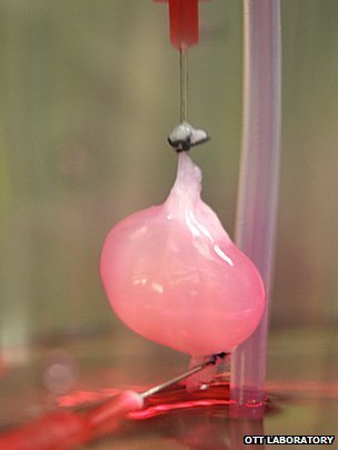科学家实验室培育出人工肾脏 可产生尿液