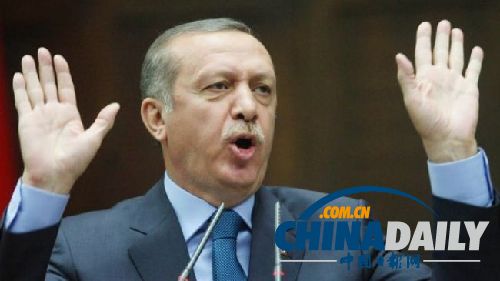 土耳其总理拒与埃及副总统电话交谈 称其非选举产生