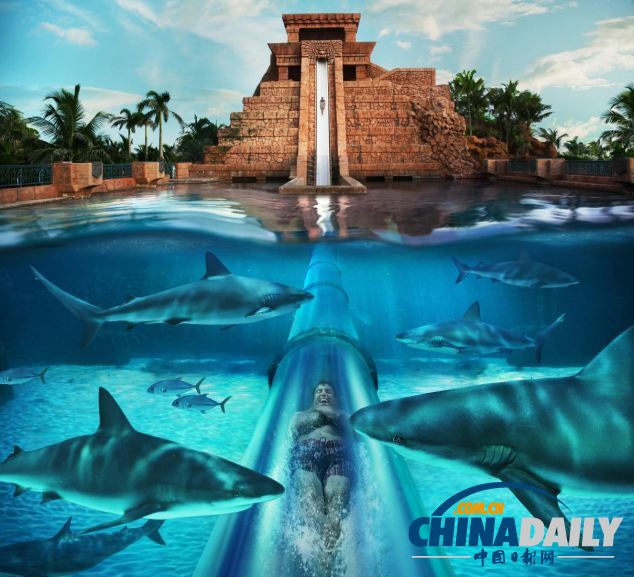 组图：巴哈马超酷水滑梯带来风驰电掣体验 与鲨鱼“同游”