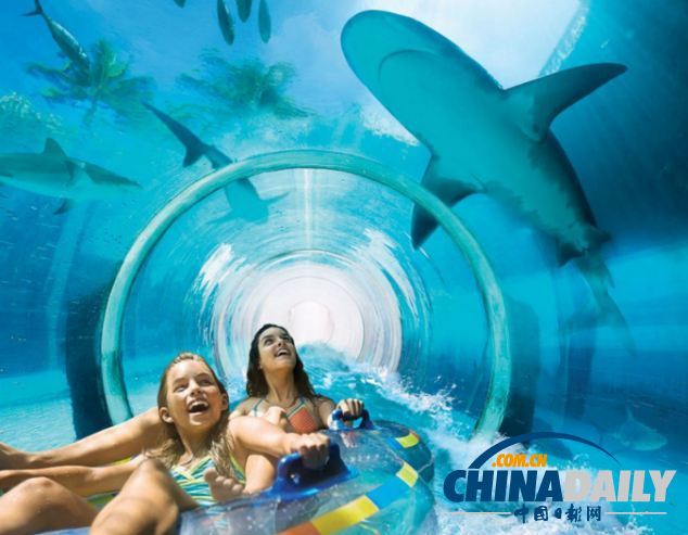 组图：巴哈马超酷水滑梯带来风驰电掣体验 与鲨鱼“同游”