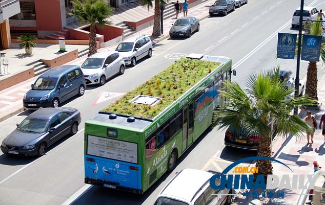 西班牙“车顶花园”风景独好 为城市带来新鲜空气（组图）