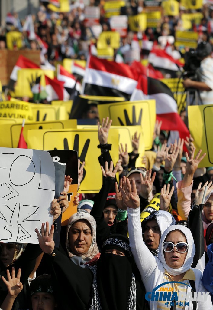 世界各地民众示威游行 抗议埃及“大屠杀”（组图）