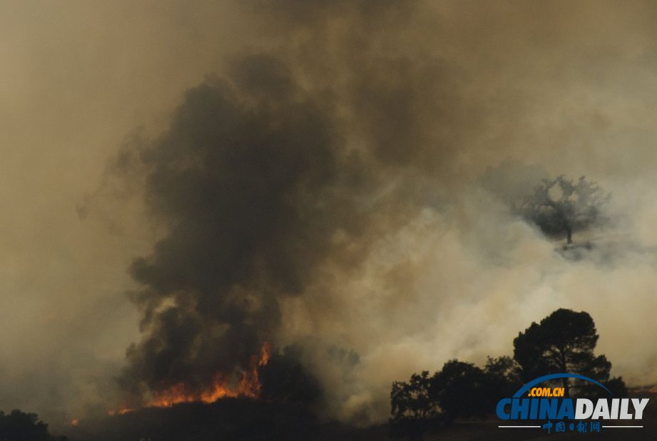 美国洛杉矶一汽车起火引发森林火灾 浓烟滚滚（图）