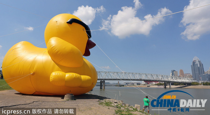 世界最大充气“黄鸭”亮相美国 高近20米（图）