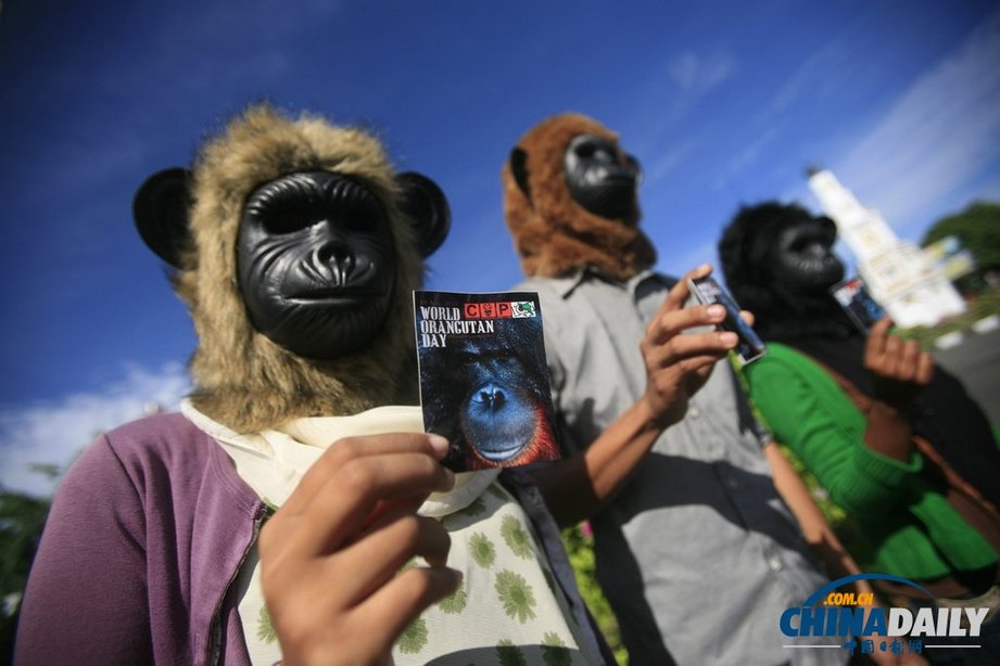 印尼动物保护主义者街头“变身” 抗议将猩猩当宠物（组图）