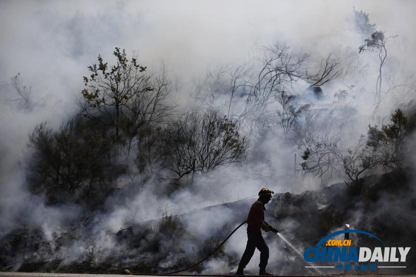 葡萄牙森林火灾肆虐 数百名消防员参与灭火 