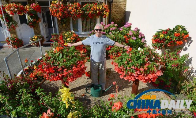 英国74岁盲人种植鲜艳花卉 靠触觉和嗅觉做园艺
