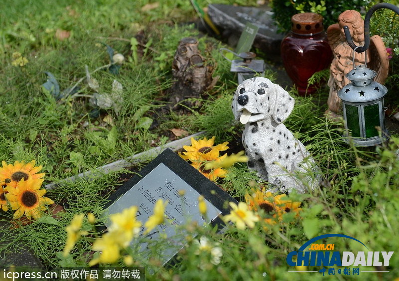 组图：缅怀“家庭至亲” 德国宠物墓地颇受欢迎