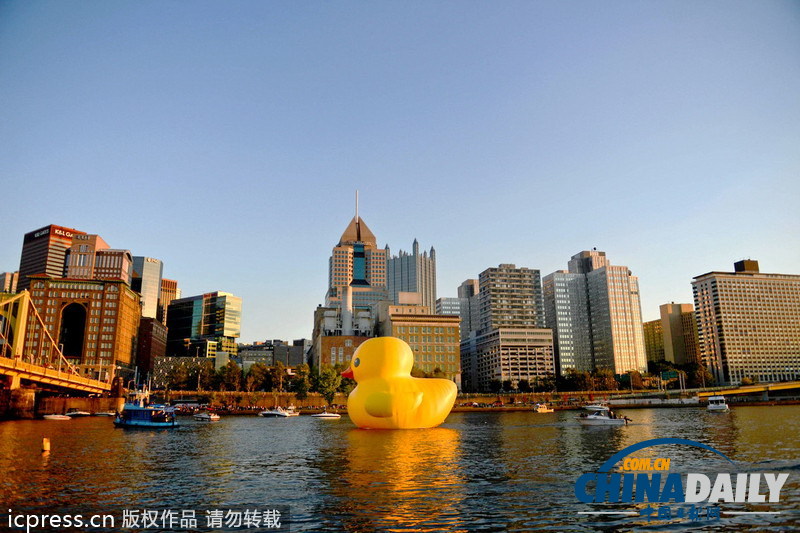 大黄鸭亮相美国匹兹堡引数千人围观