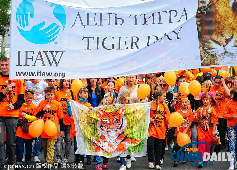 俄罗斯民众扮成老虎狂欢 呼吁保护东北虎