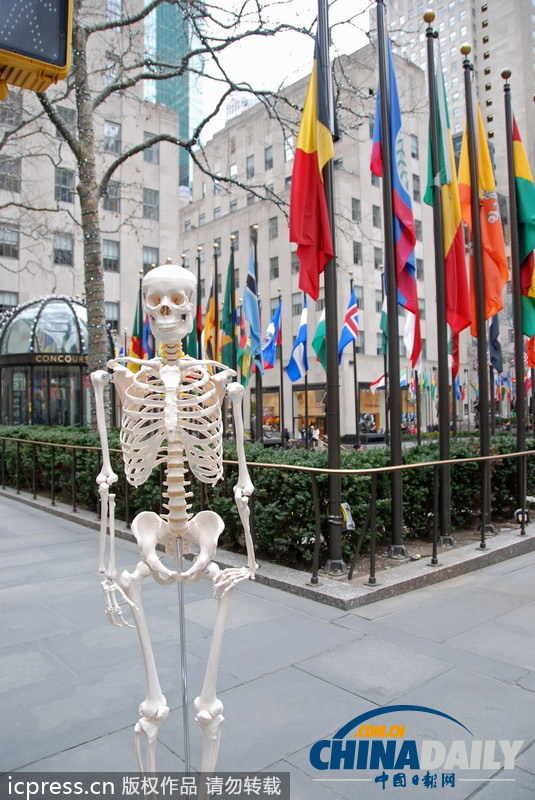 人体骨架一年内周游世界 体验做人的感觉