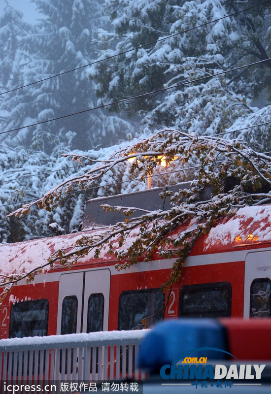 德国巴伐利亚大雪成灾 铁路交通陷于瘫痪（图）