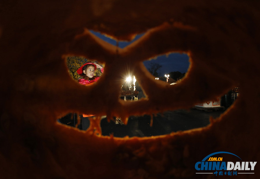 美国举行水下南瓜灯雕刻大赛 潜水与艺术两不误（高清组图）