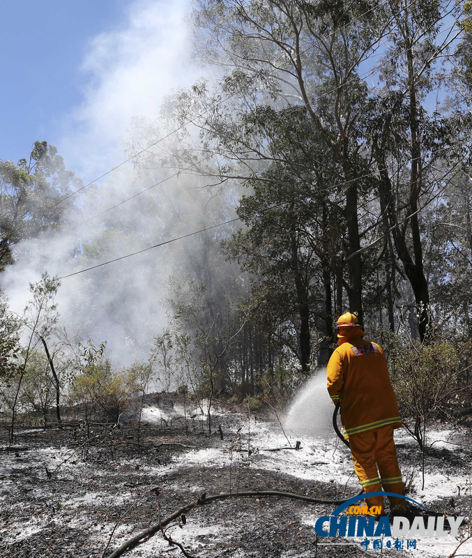 澳大利亚山火持续肆虐 灭火飞机坠毁飞行员生死未卜